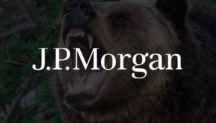JP_Morgan_institutionele_investeerders_worden_afgeschrikt_door_bearmarkt