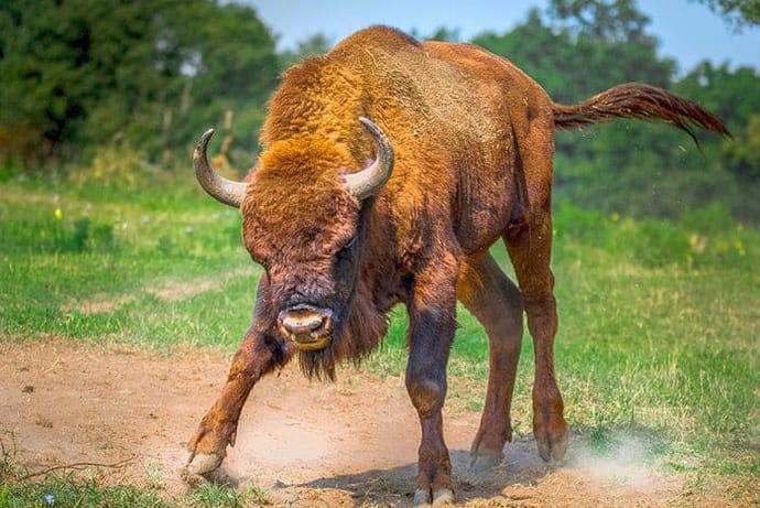 beleggers_bullish_cryptomarkt_stijgt_met_12_miljard_dollar_in_24_uur