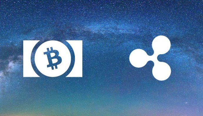 bitcoin_cash_BCH_40_procent_in_de_plus_ripple_corrigeert
