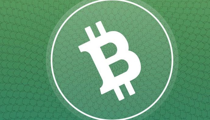 brian_kelly_crypto-burgeroorlog_bitcoin_cash_BCH_oorzaak_recente_sell-off