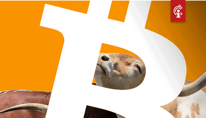 wekelijkse_bitcoin_BTC_koers_analyse_david_van_ineveld_de_stier_is_terug