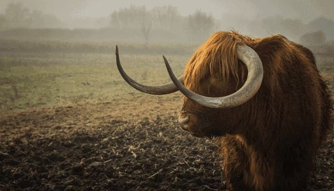 Betekent de bitcoin crash het einde van de bull-markt?