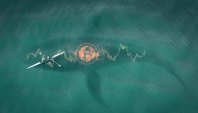 Derde grootste bitcoin whale koopt weer €18,6 miljoen BTC