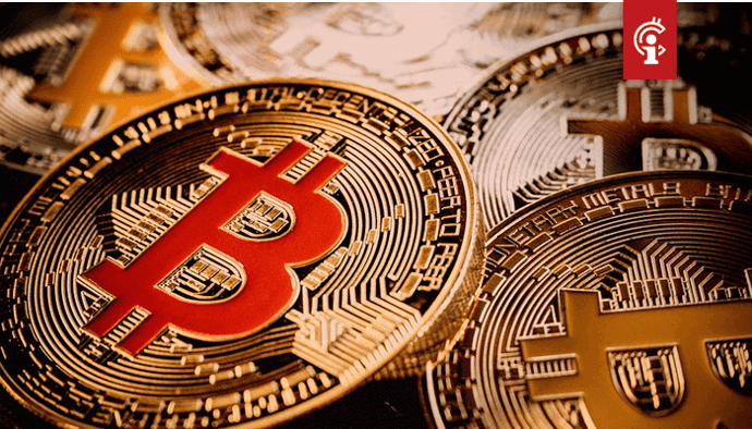 Bitcoin (BTC) HODL'en is belangrijk in deze tijd van crisis, stelt Cameron Winklevoss