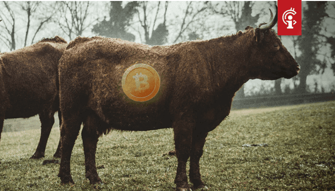 Bitcoin (BTC) balans op exchanges op laagste punt in twee jaar, is dat bullish