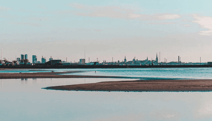 Bitcoin (BTC) bedrijven in Estland de klos Crypto-vriendelijk land wil alle vergunningen intrekken