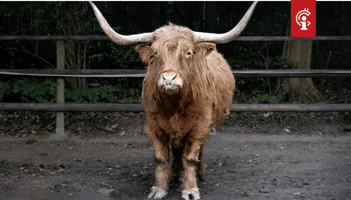 Bitcoin (BTC) bulls: "You shall not pass," gaan we corrigeren?