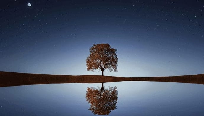 Bitcoin (BTC) exchange FTX wordt klimaatneutraal, dit is hoe