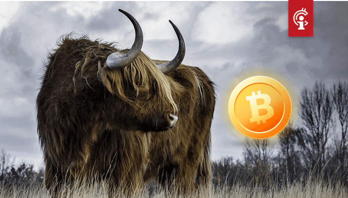 'Bitcoin (BTC) investeerders zijn bang om de verkeerde redenen, BitMEX aanklacht is juist bullish'