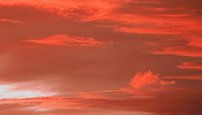 Bitcoin (BTC) koers crasht, waar ligt een mogelijke bodem Shiba inu en top 10 dalen hard
