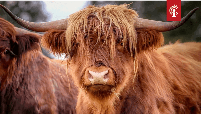 Bitcoin (BTC) koers is bullish vanwege deze 3 redenen, zegt onderzoeksbureau