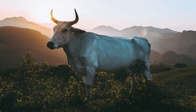 Bitcoin (BTC) koers nu lijkt veel op die in 2019; zien we binnenkort de $50.000 weer?