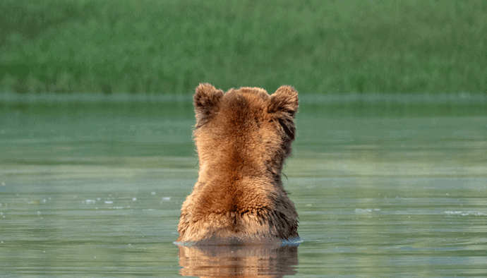 Bitcoin (BTC) koers op weg om slechtste kwartaal sinds 2014 neer te zetten