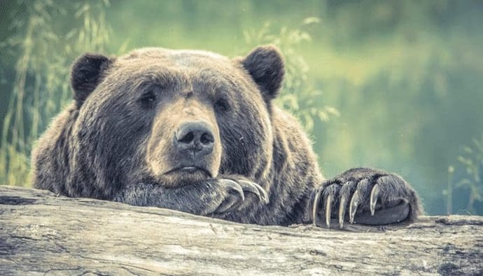 Bitcoin (BTC) koers vooralsnog bij support, hebben Musks tweets al wat uitgehaald voor dogecoin (DOGE)