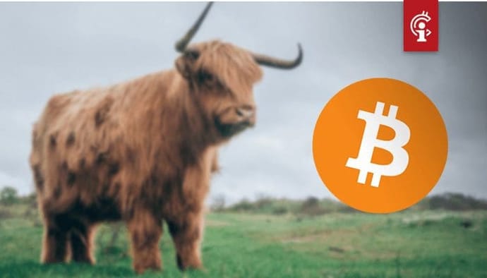 Bitcoin (BTC) op macroschaal nog steeds bullish, vindt deze analist