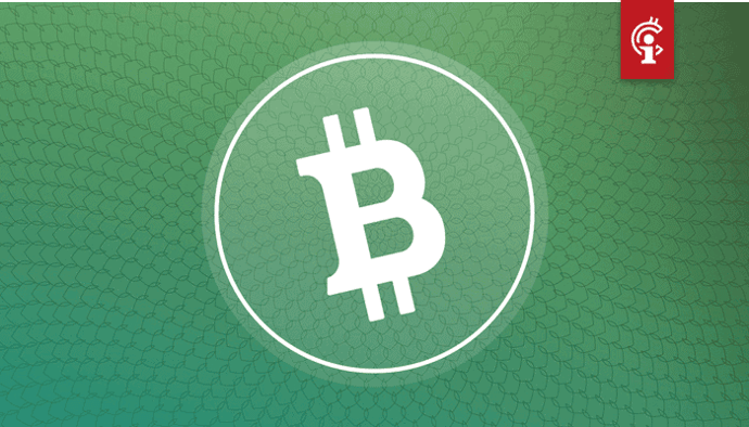 Bitcoin Cash (BCH) zakt naar laagste waarde ooit ten opzichte van bitcoin, Tim Draper verwijdert lovende tweet