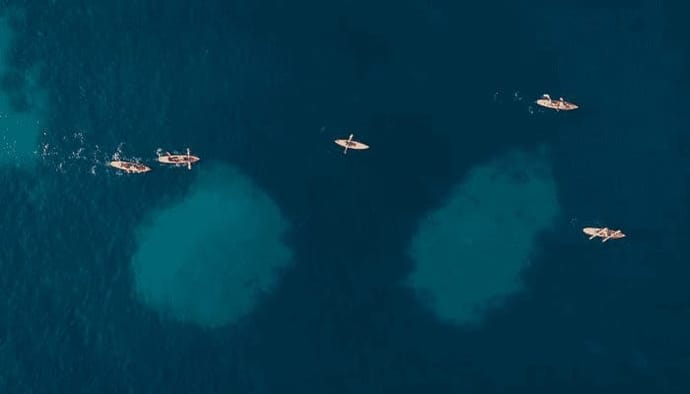 Bitcoin bears vooralsnog in controle - John kijkt naar ROSE, ripple en vechain