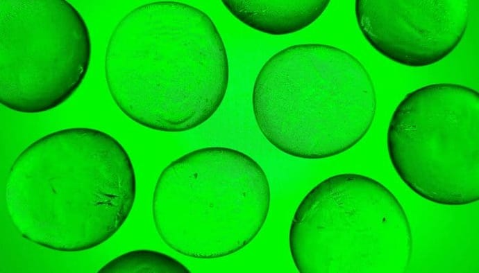 Bitcoin, ethereum en cardano koersen zoeken support, dogecoin stijgt flink, maar lang niet zo hard als solana