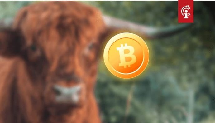 Bitcoin koers kan in 2021 naar $100.000 stijgen, zegt Dan Held van cryptocurrency-exchange Kraken