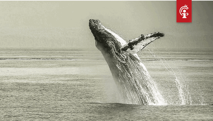 Bitcoin koers zakt wellicht verder omlaag, whale gaat short met $100 miljoen aan BTC