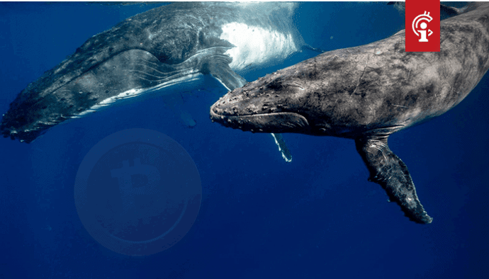 Bitcoin koersherstel lijkt steeds kleiner te worden op korte termijn, whales dumpen BTC op exchanges