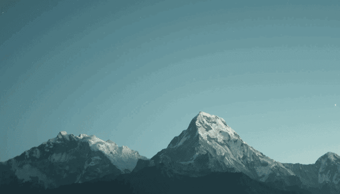 Cardano (ADA) community is een vreemde cult, zegt deze bekende miljardair