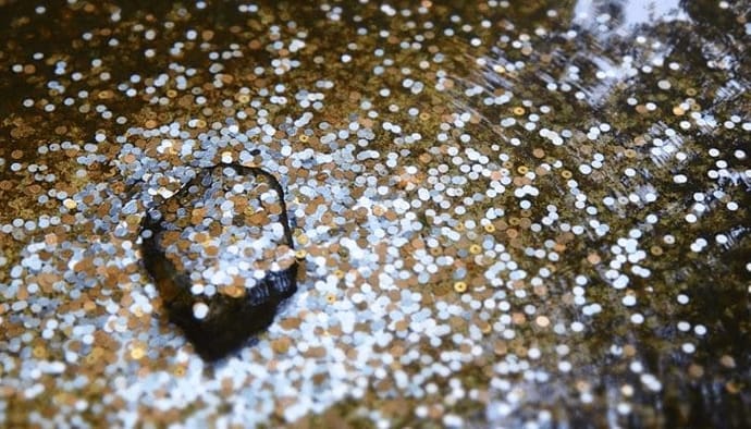 Cardano (ADA) lanceert binnenkort converter om Ethereum tokens snel over te zetten naar Cardano