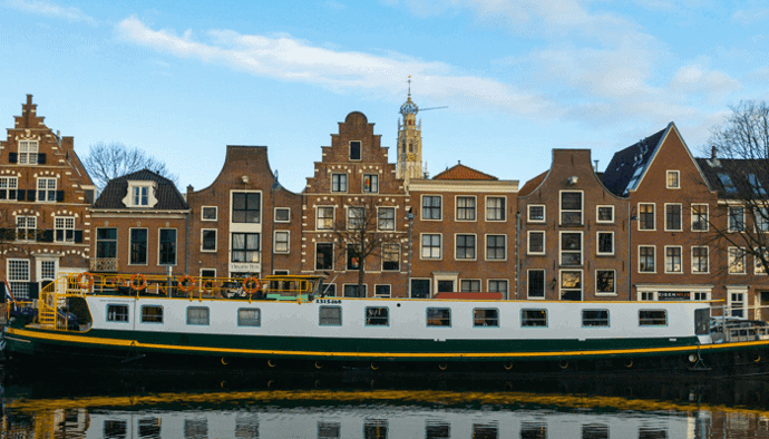 Cardano (ADA) zoekopdrachten op Google schieten naar recordhoogte met Nederland bovenaan