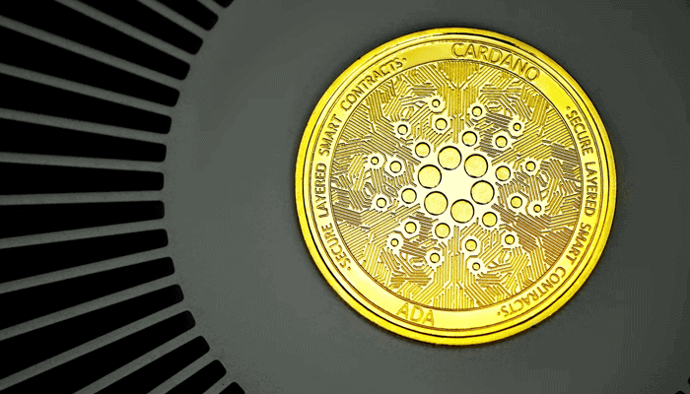 Cardano komt tot leven - John kijkt naar shiba inu, bitcoin en meer