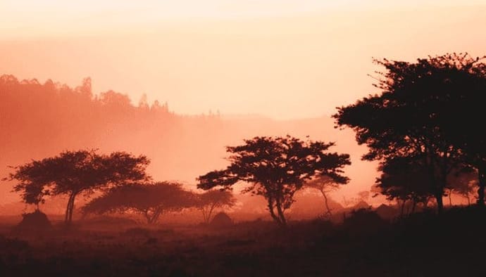 Cardano's (ADA) grote samenwerking met Ethiopië loopt vertraging op, oprichter legt uit waarom