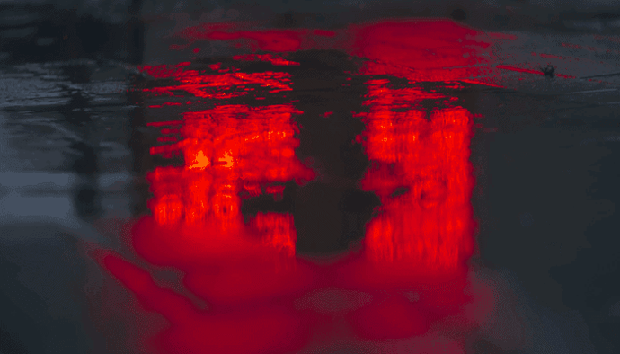 Rood bloedbad