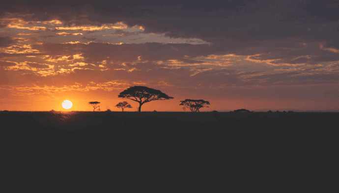 De president van dit Afrikaanse land wil de mogelijkheden van bitcoin (BTC) onderzoeken
