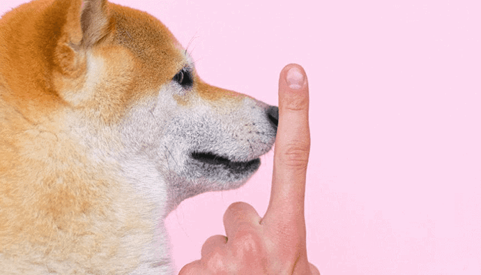 Dogecoin (DOGE) transactievolume voorbij Ethereum (ETH), zorgen omtrent centralisatie blijven bestaan