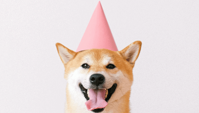 Dogecoin (DOGE) zet na stijging van +1000% nieuw record neer, bitcoin (BTC) afgewezen