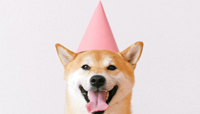 Dogecoin prijs naar nieuwe high! John bekijkt bitcoin, aion, BAKE, BURGER en meer