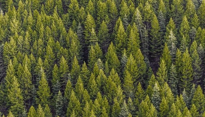Elrond (EGLD) als eerste blockchain in Europa CO2-negatief, goede stap voor crypto