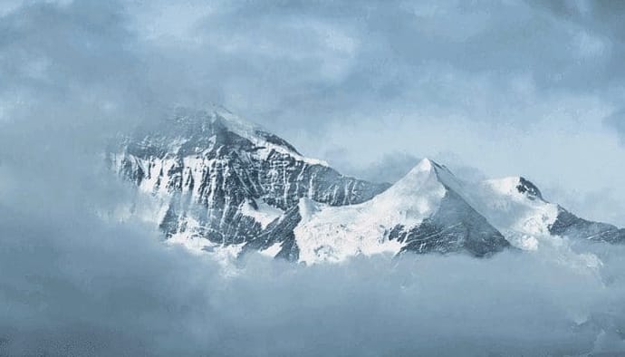 Ethereum (ETH) naar $45.000? Ark Investment's Cathie Wood heeft hoge verwachtingen