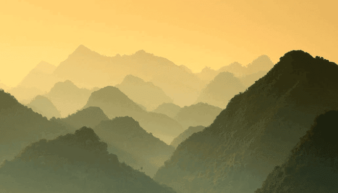 Ethereum vestigt nieuwe ATH, Grayscale koopt 140 miljoen ETH en meer Ethereum nieuws!