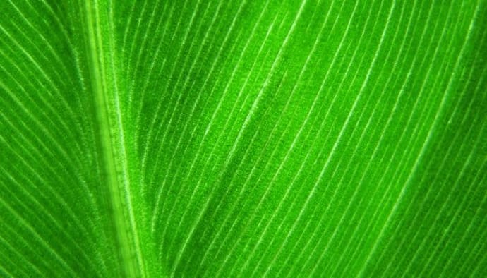 Harmony (ONE) koers stijgt met 25% na grote aankondigingen omtrent SushiSwap en NFT’s