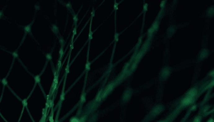 IoTeX (IOTX) prijs breekt uit Gaat deze altcoin belangrijk zijn in de metaverse