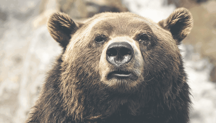Is de bullmarkt ten einde? John bekijkt de bitcoin prijs crash