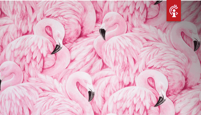 NEO concurreert met Ethereum en stapt DeFi in met lancering van Flamingo Finance (FLM)