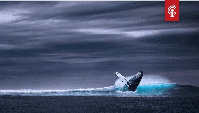 "Nieuwste Bitcoin-rally is te wijten aan manipulatie door Whales"