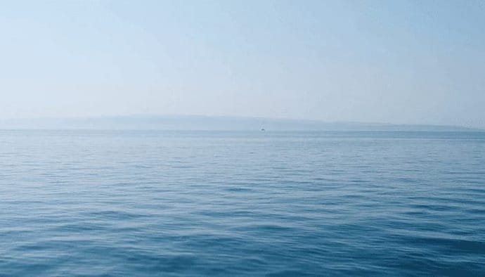 OpenSea eerste NFT marktplaats met handelsvolume boven de $1 miljard, NFT gekte houdt aan