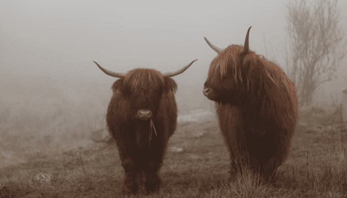Recordbedrag van $1,2 miljard aan ethereum (ETH) stroomde gisteren uit beurzen, hoe bullish is dit