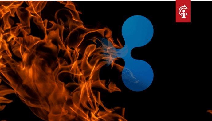 Ripple bezit 48 miljard XRP, netwerk zou deze allemaal kunnen vernietigen stelt Ripple CTO