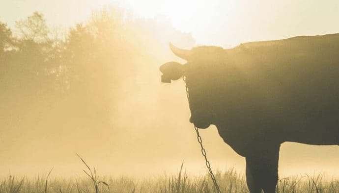 Timo’s take Bitcoin prijs sluit september rood af, kleuren de volgende maanden weer groen