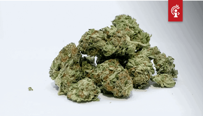 TruTrace zet wiet op de blockchain om herkomst te garanderen en cannabissoorten vast te leggen