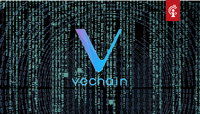 VeChain Foundation gehackt, hacker maakt 1,1 miljard VET buit