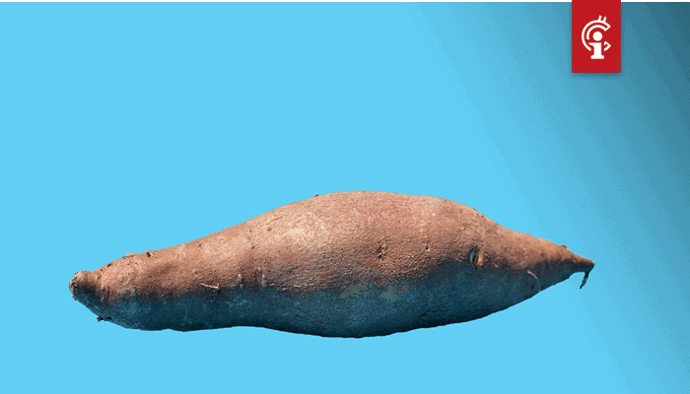 YAM, een nieuw DeFi project, stort volledig in na ontdekking van een bug 2 dagen na lancering